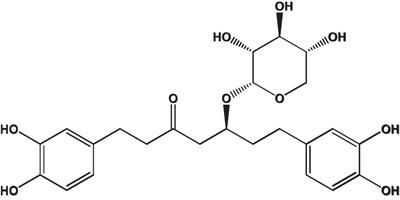 Frontiers | Application of Ethanol Extracts From Alnus sibirica Fisch. ex Turcz in Hair Growth Promotion Frontiers | Application of Ethanol Extracts From Alnus sibirica Fisch. ex Turcz in Hair Growth Promotion