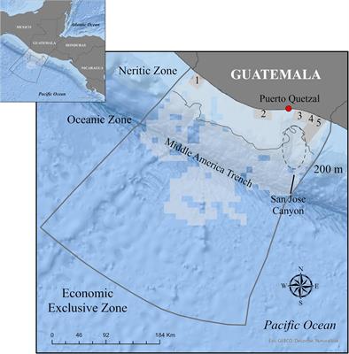 Meter Trip slip Frontiers | Spatial Distribution and Abundance of Small Cetaceans in the Pacific Waters of Guatemala Meter Trip slip Frontiers | Spatial Distribution and Abundance of Small Cetaceans in the Pacific Waters of Guatemala