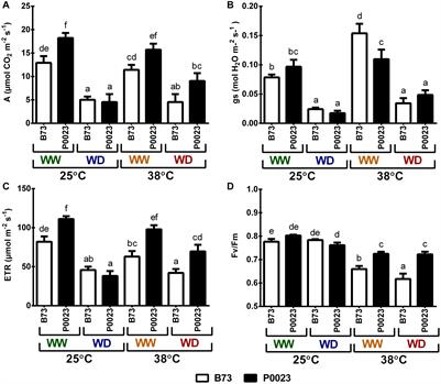 Frontiers Efficient Regulation Of Co2 Assimilation Enables Greater Resilience To High Temperature And Drought In Maize Plant Science Frontiers Efficient Regulation Of Co2 Assimilation Enables Greater Resilience To High Temperature And Drought In Maize Plant Science