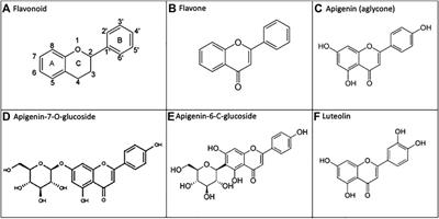 Frontiers Does Oral Apigenin Have Real Potential For A Therapeutic Effect In The Context Of Human Gastrointestinal And Other Cancers Pharmacology
