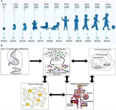 Frontiers The First Thousand Days Define A Fetal Neonatal Neurology Program Pediatrics Frontiers The First Thousand Days Define A Fetal Neonatal Neurology Program Pediatrics