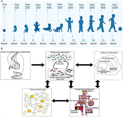 Frontiers The First Thousand Days Define A Fetal Neonatal Neurology Program