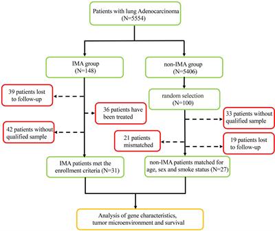 Frontiers | Clinical Relevance of PD-L1 Expression and CD8+ T ...