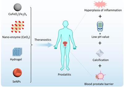 Kalcium- glükonát prosztatitis. Prosztata adenoma kalcium