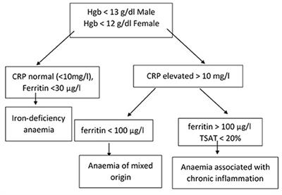 Frontiers | Iron Deficiency Anemia in Inflammatory Bowel Disease: What ...