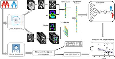 Frontiers  Neuropsychological Assessments of Patients With