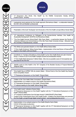 PDF) Health reform and Indigenous health policy in Brazil: contexts, actors  and discourses