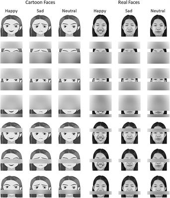 Frontiers | The Influence of Key Facial Features on Recognition of Emotion in Cartoon Faces Frontiers | The Influence of Key Facial Features on Recognition of Emotion in Cartoon Faces