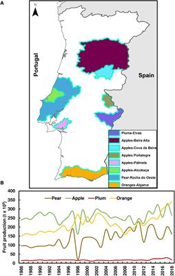 Frontiers Assessment Of Climate Change Impacts On Chilling And Forcing For The Main Fresh Fruit Regions In Portugal Plant Science