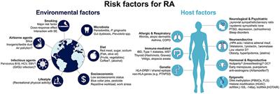 The Link Between Rheumatoid Factor and Rheumatoid Arthritis - Factors that Can Raise or Lower Rheumatoid Factor Levels