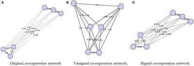 GWENA: gene co-expression networks analysis and extended modules  characterization in a single Bioconductor package, BMC Bioinformatics