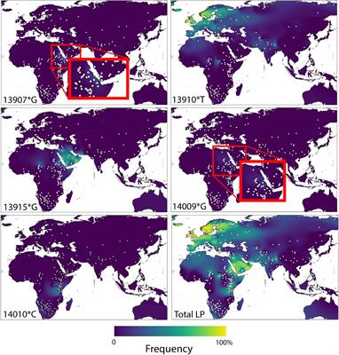 A Map That Highlights Differences In Height Frontiers | Evolution Of Lactase Persistence: Turbo-Charging Adaptation In  Growth Under The Selective Pressure Of Maternal Mortality? | Physiology