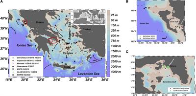 Frontiers Distribution Patterns Of Floating Microplastics In Open And Coastal Waters Of The Eastern Mediterranean Sea Ionian Aegean And Levantine Seas Marine Science