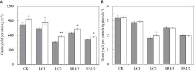 Frontiers | Alterations in Source-Sink Relations Affect Rice Yield ...