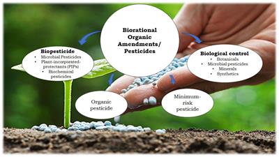 Frontiers | Plant Disease Management: Leveraging on the Plant-Microbe-Soil Interface in the Biorational Use of Organic Amendments Frontiers | Plant Disease Management: Leveraging on the Plant-Microbe-Soil Interface in the Biorational Use of Organic Amendments