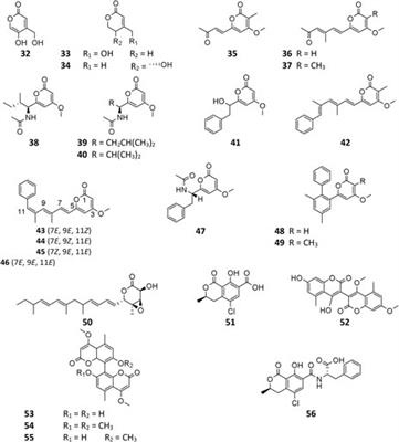 Frontiers Aspergillus Niger As A Secondary Metabolite Factory Chemistry