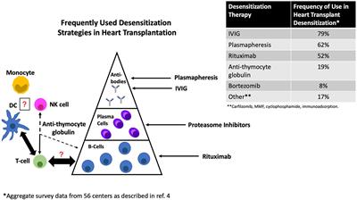 Frontiers Current Desensitization Strategies In Heart Transplantation Immunology