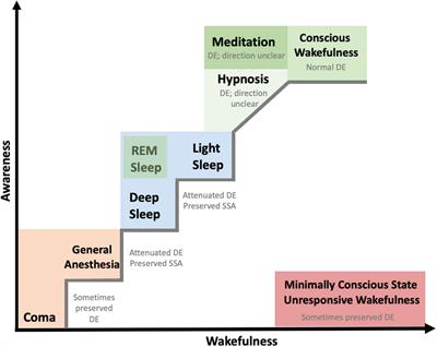 Awake and Aware: 88 mindfulness teachings (English Edition