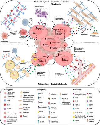 Frontiers Messing Up The Cancer Stem Cell Chemoresistance Mechanisms Supported By Tumor Microenvironment Oncology