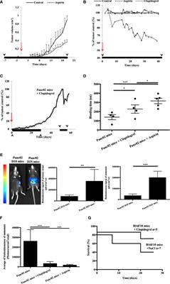 Frontiers  P2RY12-Inhibitors Reduce Cancer-Associated Thrombosis and Tumor  Growth in Pancreatic Cancers