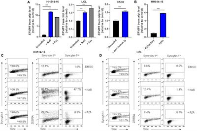Frontiers An Ancestral Retrovirus Envelope Protein Regulates Persistent Gammaherpesvirus Lifecycles Microbiology Frontiers An Ancestral Retrovirus Envelope Protein Regulates Persistent Gammaherpesvirus Lifecycles Microbiology