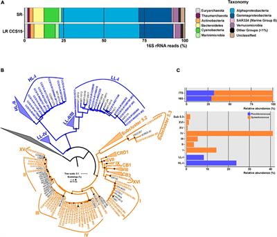 Frontiers  Decoding the microbial universe with metagenomics: a brief  insight