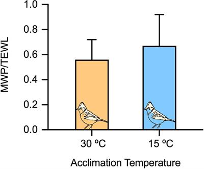 Frontiers Triple Oxygen Isotope Measurements D 17o Of Body Water Reflect Water Intake Metabolism And D18o Of Ingested Water In Passerines Physiology
