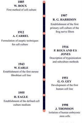 Frontiers | From Donor to the Lab: A Fascinating Journey of Primary Cell Lines Frontiers | From Donor to the Lab: A Fascinating Journey of Primary Cell Lines