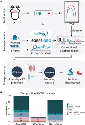 Frontiers | Ion Mobility Coupled to a Time-of-Flight Mass Analyzer Combined Fragment Intensity Predictions Improves Identification of Classical Bioactive Peptides Small Open Reading Frame-Encoded Peptides
