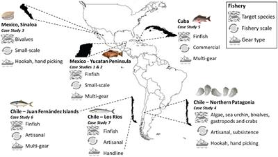 Identifying fisheries operations in tropical multispecies
