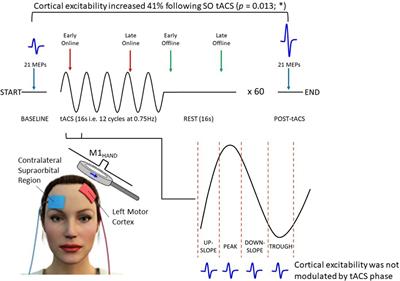 EEG and tACS electrode montages and tACS current simulation results. A