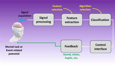 Brain machine interfaces (BMIs), or brain computer interfaces (BCIs), are devices that act as a medium for communications between the brain and the co