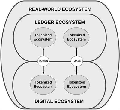 Frontiers  Unblocking recognition: A token system for