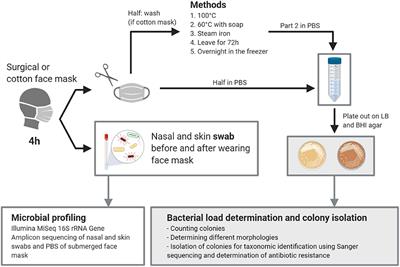 Coronavirus nose mask invented to lower risk of infection