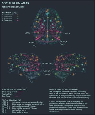 The Brain-Wiring Test – Everyday Enlightenment