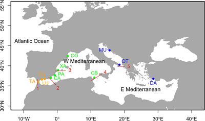 Map of the Mediterranean Sea indicating the sampled localities, coded