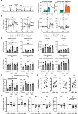 Frontiers Pyruvate Dehydrogenase Kinase Inhibitor Dichloroacetate Improves Host Control Of Salmonella Enterica Serovar Typhimurium Infection In Human Macrophages Immunology