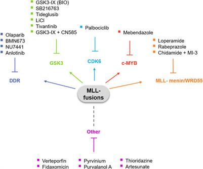 Recent Progress of Small Molecule Menin–MLL Interaction Inhibitors as  Therapeutic Agents for Acute Leukemia