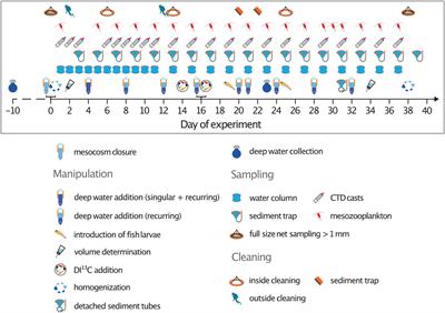 Frontiers Effect Of Intensity And Mode Of Artificial Upwelling On Particle Flux And Carbon Export