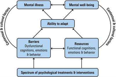 Frontiers  The Model for Sustainable Mental Health: Future Directions 