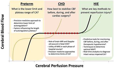 Frontiers  Hemodynamic and Metabolic Assessment of Neonates With