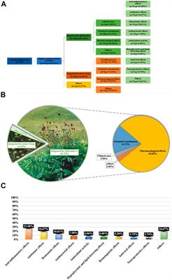 Frontiers A Comprehensive Review Of Genus Sanguisorba Traditional Uses Chemical Constituents And Medical Applications Pharmacology Frontiers A Comprehensive Review Of Genus Sanguisorba Traditional Uses Chemical Constituents And Medical Applications Pharmacology