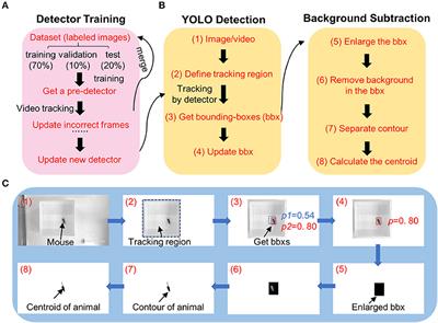 A three-dimensional virtual mouse generates synthetic training data for behavioral analysis