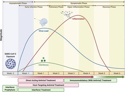 Frontiers Beyond Vaccines Clinical Status Of Prospective Covid 19 Therapeutics Immunology