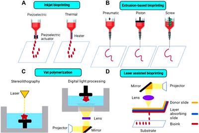 Frontiers 3d Bioprinted Implants For Cartilage Repair In Intervertebral Discs And Knee Menisci Bioengineering And Biotechnology
