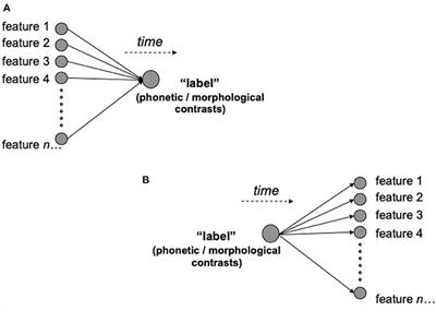 Overview of the linguistic domain of morphology with the English