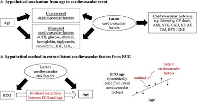 Age- and Sex-Based Reference Limits and Clinical Correlates of