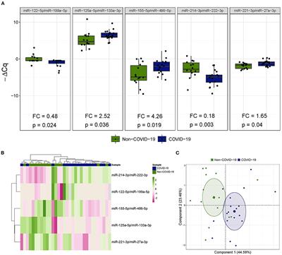 Bronchial Aspirate-Based Profiling Identifies MicroRNA Signatures Associated With COVID-19 and Fatal Disease in Critically Ill Patients