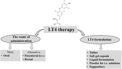 Frontiers | Levothyroxine Treatment And The Risk Of Cardiac Arrhythmias –  Focus On The Patient Submitted To Thyroid Surgery | Endocrinology Frontiers | Levothyroxine Treatment And The Risk Of Cardiac Arrhythmias –  Focus On The Patient Submitted To Thyroid Surgery | Endocrinology