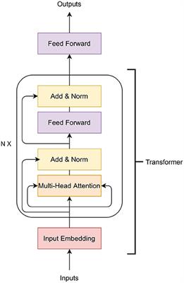 Frontiers TB-Net: A Tailored, Self-Attention Deep Convolutional